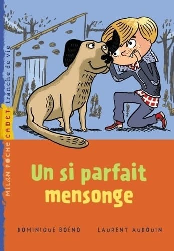 Un si parfait mensonge - Dominique Boeno