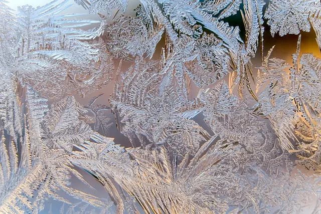 10 Conseils Essentiels pour Créer le Noël Parfait