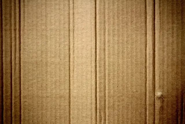 Comment Créer des Décorations de Noël Écoresponsables