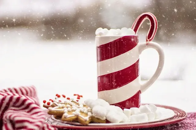 Les meilleures recettes de chocolats chauds pour un Noël parfait