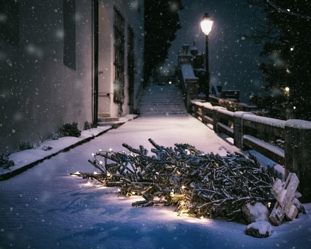 Comment faire un Noël parfait : 10 astuces essentielles