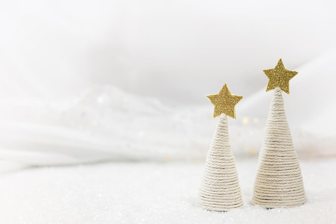 Comment choisir le meilleur sapin pour un Noël parfait
