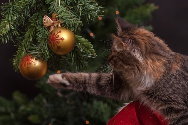 10 idées créatives pour un Noël parfait en famille