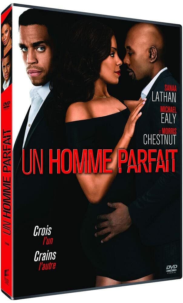 Un homme parfait - David M. Rosenthal
